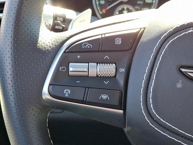 Photo of 2025 Vik Black Genesis G70
