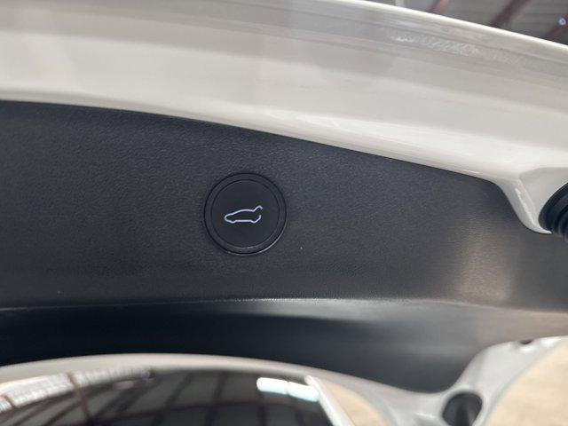 Photo of 2023 White Tesla Model 3