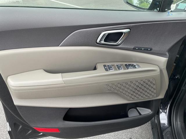 Photo of 2025 Panthera Metal Kia Carnival