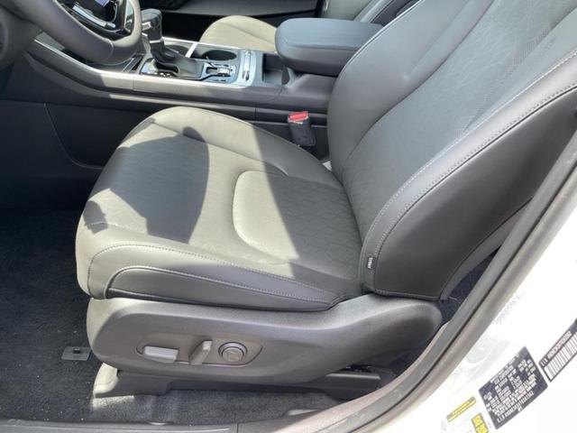 Photo of 2026 White Pearl Kia Carnival