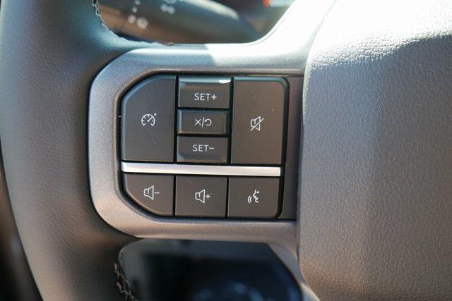 Photo of 2026 Carbonized Gray Metallic Ford F-250