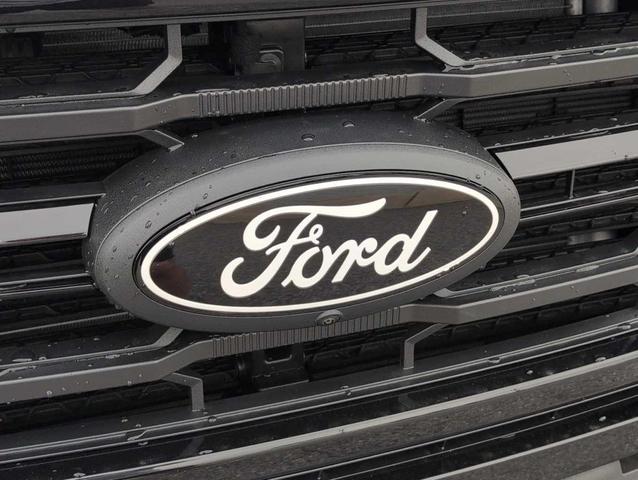 Photo of 2025 Agate Black Metallic Ford F-150