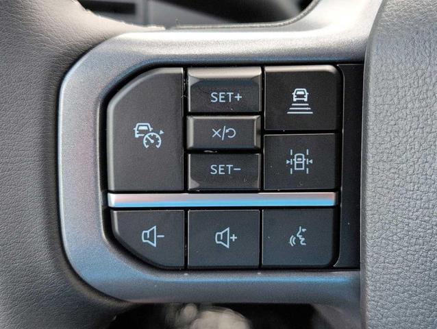 Photo of 2025 Agate Black Metallic Ford F-150
