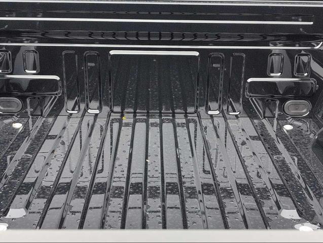 Photo of 2025 Agate Black Metallic Ford F-150