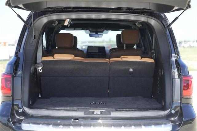 Photo of 2023 Mineral Black INFINITI QX80