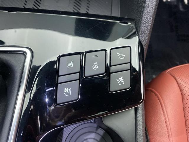 Photo of 2024 Ebony Black Kia Sportage