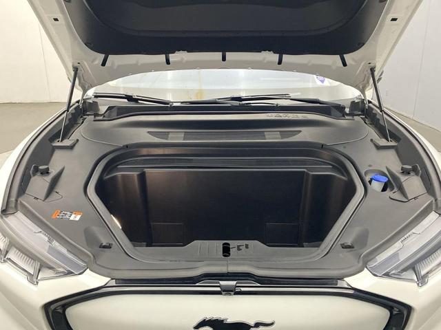 Photo of 2021 Star White Ford Mustang Mach-E