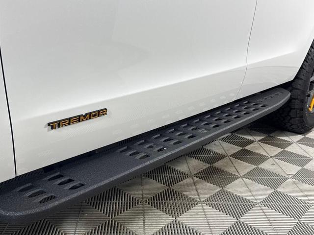 Photo of 2025 White Metallic Ford Expedition