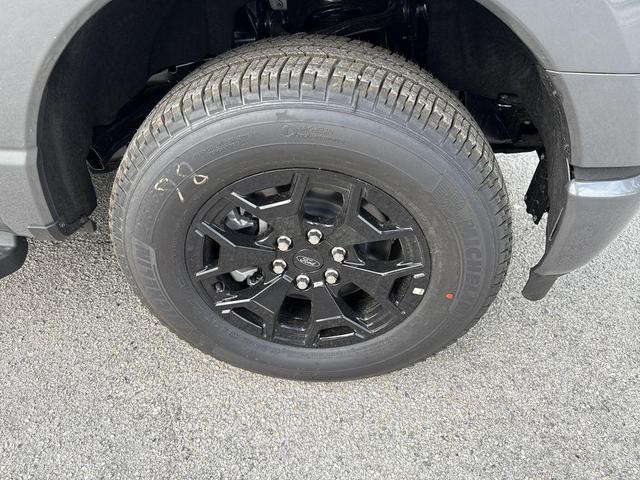 Photo of 2025 Grey Ford F-150 Lightning