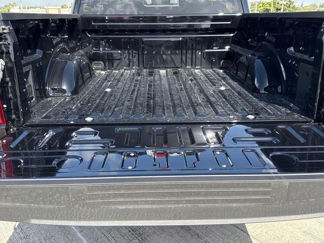 Photo of 2025 Agate Black Metallic Ford F-150