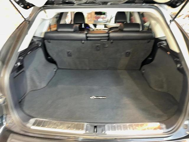 Photo of 2010 Grey Lexus RX 450h
