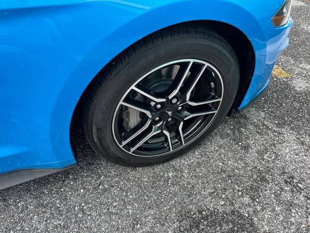 Photo of 2022 Grabber Blue Ford Mustang