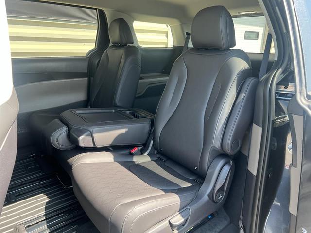 Photo of 2026 Panthera Metal Kia Carnival