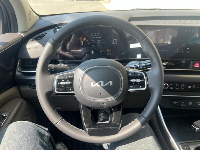 Photo of 2026 Panthera Metal Kia Carnival