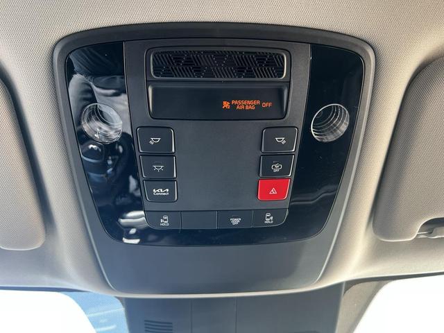 Photo of 2026 Panthera Metal Kia Carnival