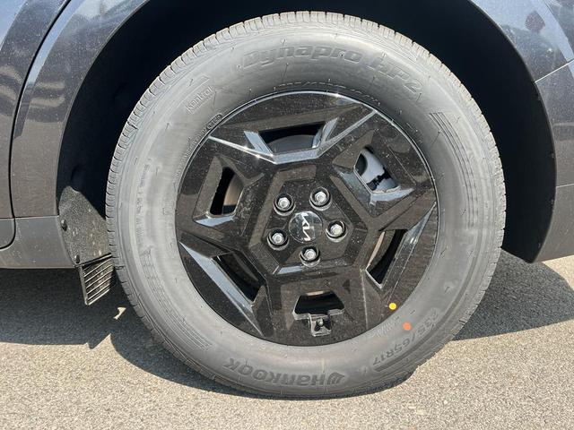 Photo of 2026 Panthera Metal Kia Carnival