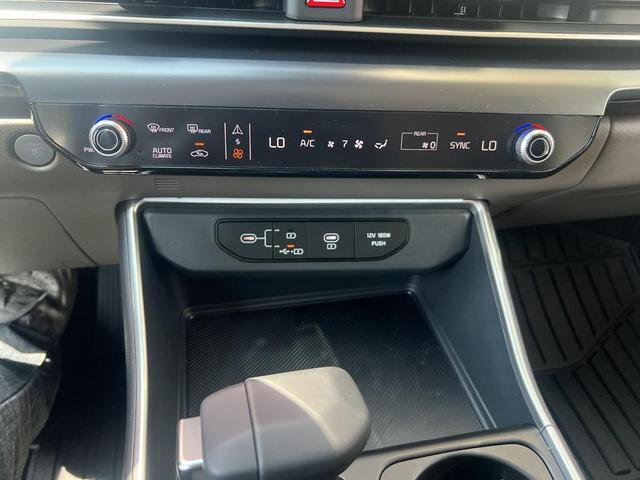 Photo of 2026 Panthera Metal Kia Carnival