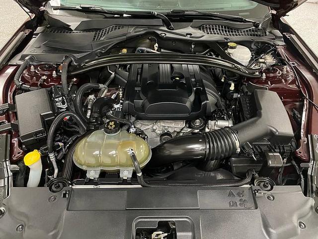 Photo of 2018 MAROON Ford Mustang