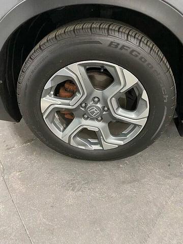 Photo of 2017 WHITE Honda CR-V