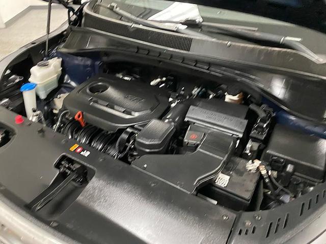 Photo of 2020 Imperial Blue Kia Sorento