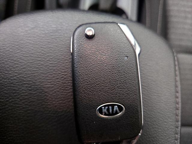 Photo of 2020 Silver Kia Soul