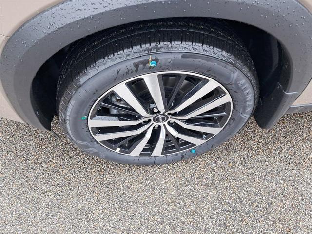 Photo of 2025 Baja Storm Nissan Pathfinder