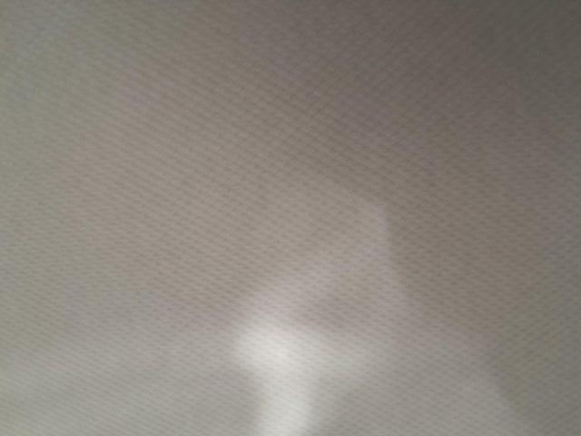 Photo of 2025 Everest White Pearl Tricoat Nissan Murano