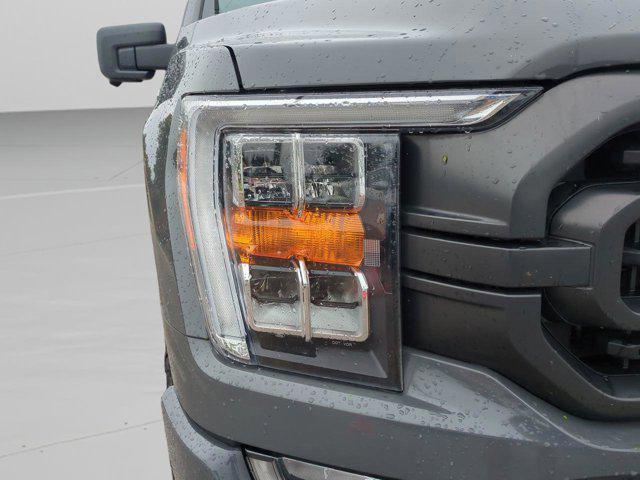 Photo of 2021 Lead Foot Ford F-150