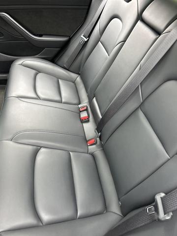 Photo of 2020 Pearl White Multi-Coat Tesla Model 3