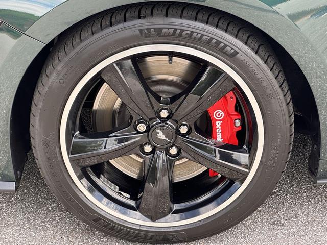 Photo of 2019 Dark Highland Green Metallic Ford Mustang