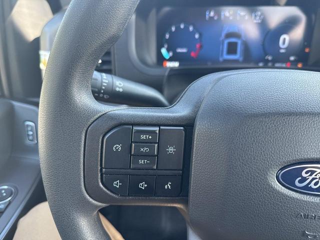 Photo of 2024 Carbonized Gray Metallic Ford F-150