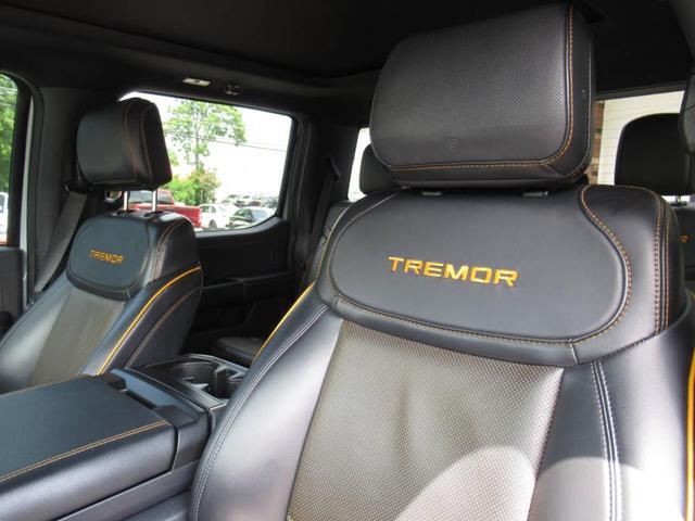 Photo of 2023 Avalanche Ford F-150