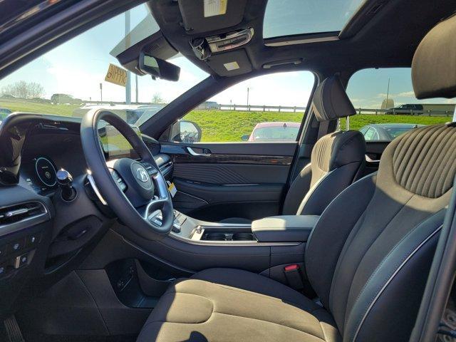 Photo of 2025 Abyss Black Pearl Hyundai PALISADE
