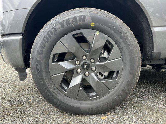 Photo of 2025 Carbonized Gray Metallic Ford F-150 Lightning