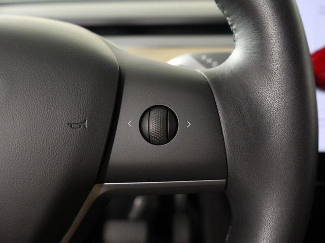 Photo of 2021 Red Multi-Coat Tesla Model Y