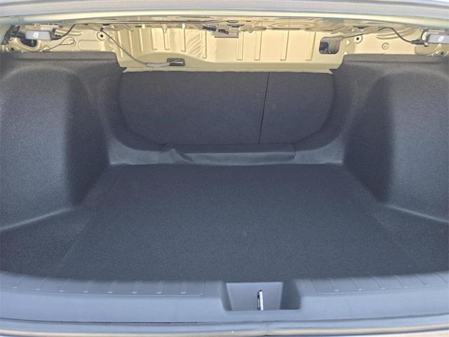 Photo of 2026 Blue Lagoon Honda Civic