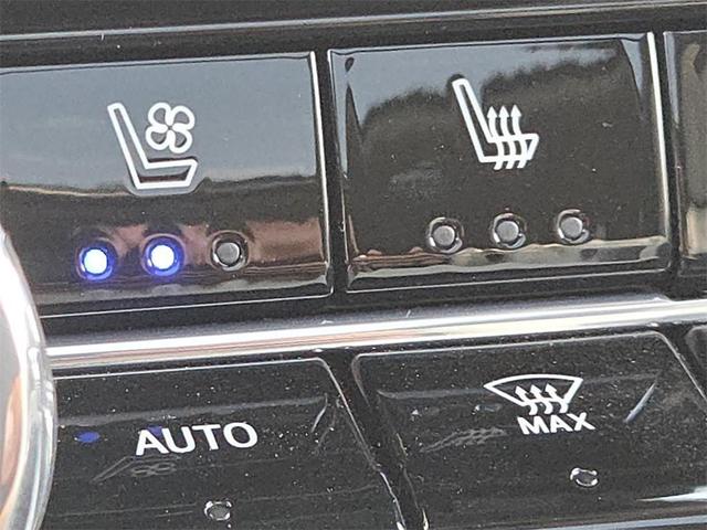 Photo of 2025 Pearl Honda Prologue
