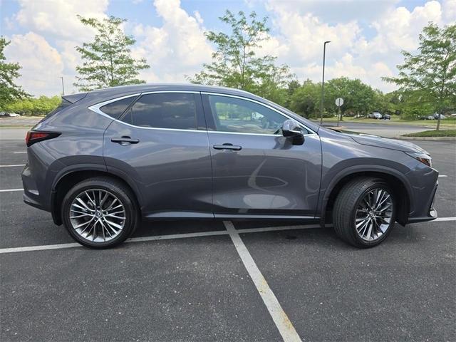 Photo of 2022 Cloudburst Gray Lexus NX 350
