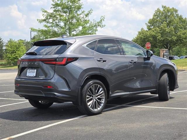 Photo of 2022 Cloudburst Gray Lexus NX 350