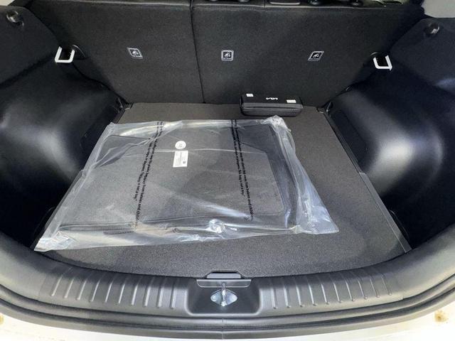 Photo of 2025 Snow White Pearl Kia Niro EV