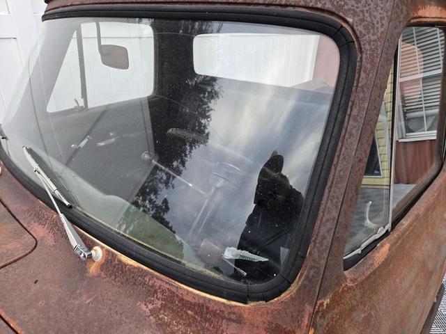Photo of 1953 Tan Ford F100