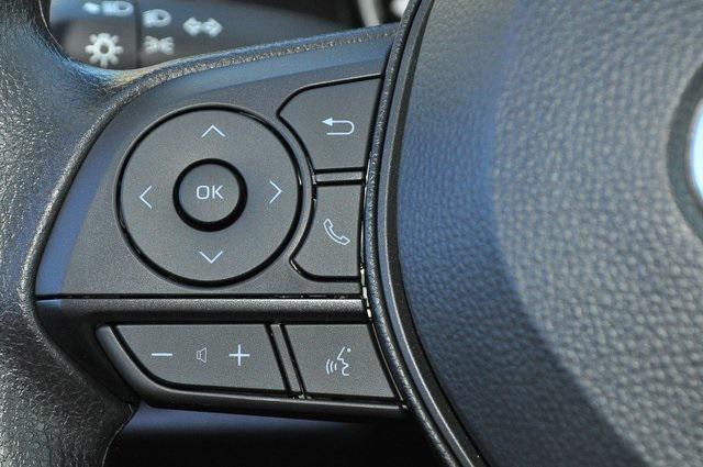 Photo of 2025 Ice Toyota RAV4