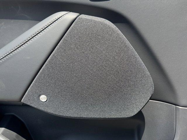 Photo of 2025 Shadow Black Ford Mustang Mach-E
