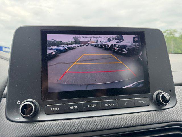 Photo of 2023 Cactus Fern Hyundai KONA