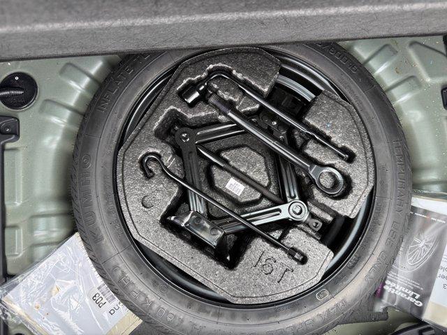 Photo of 2023 Cactus Fern Hyundai KONA