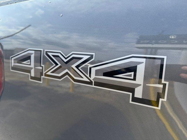 Photo of 2025 Gray Ford F-150