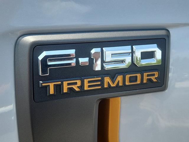 Photo of 2025 Space White Metallic Ford F-150