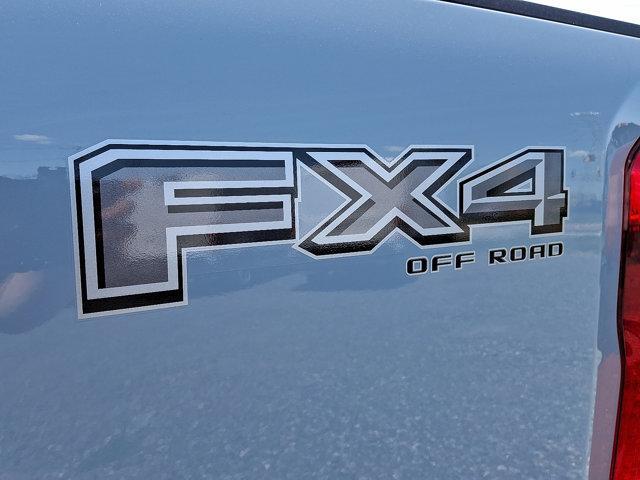 Photo of 2025 Glacier Gray Ford F-350