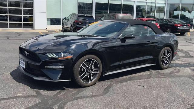 Photo of 2023 Black Ford Mustang