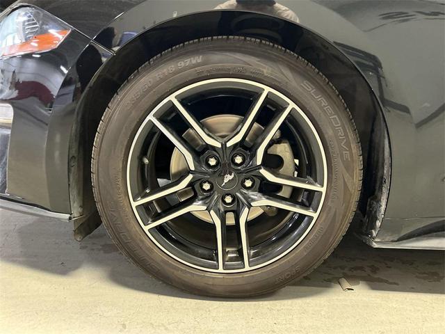 Photo of 2023 Black Ford Mustang